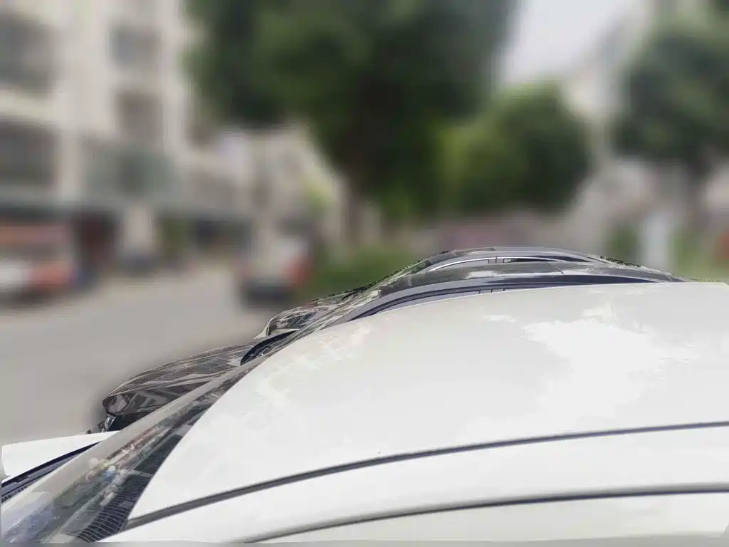 Geely Geometry EX3 Kung Fu Bull 2022 2021 Strong Bull