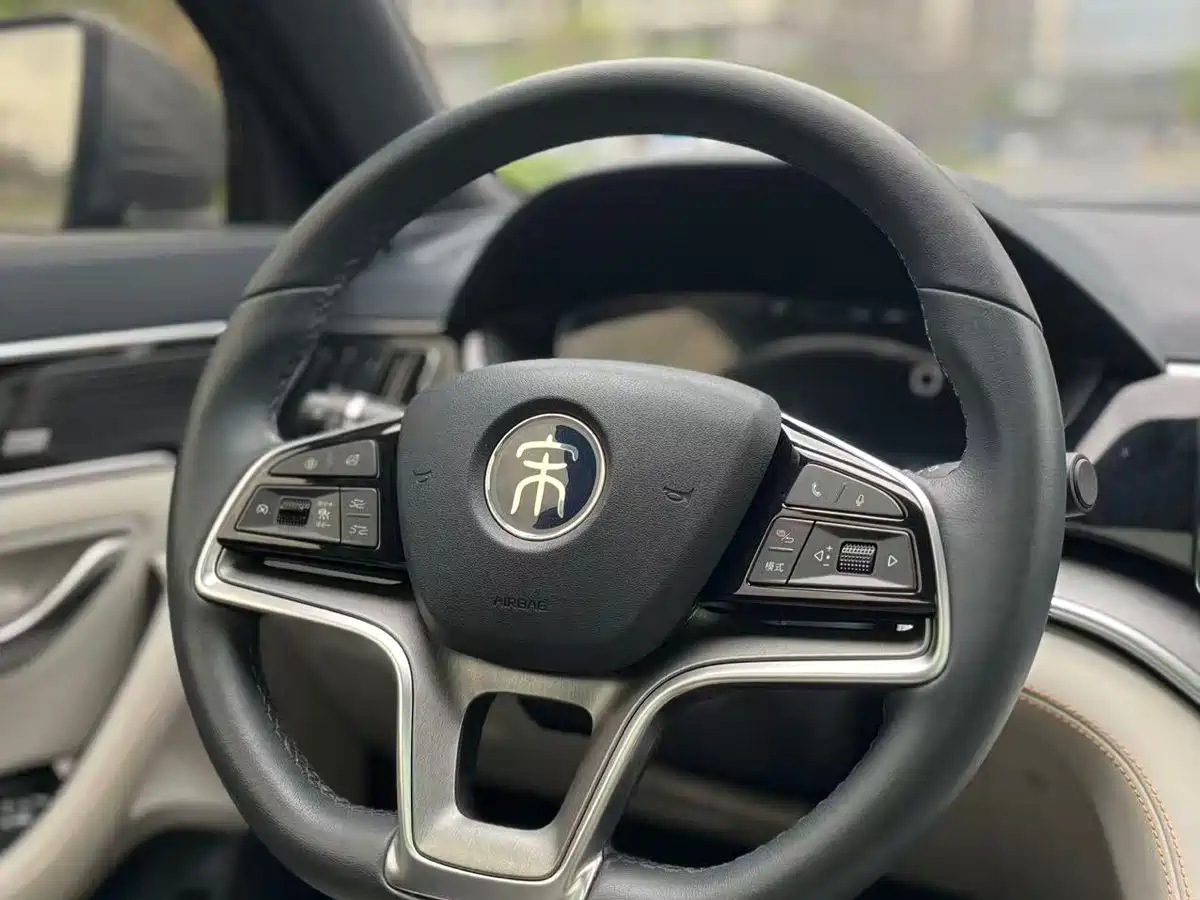 BYD Song PLUS PHEV 2021 DM-i 51KM Honor фото 12