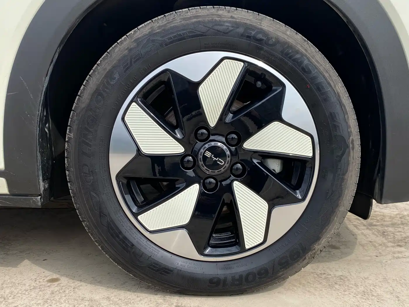 BYD Dolphin 2026 2025 420km Freedom Edition