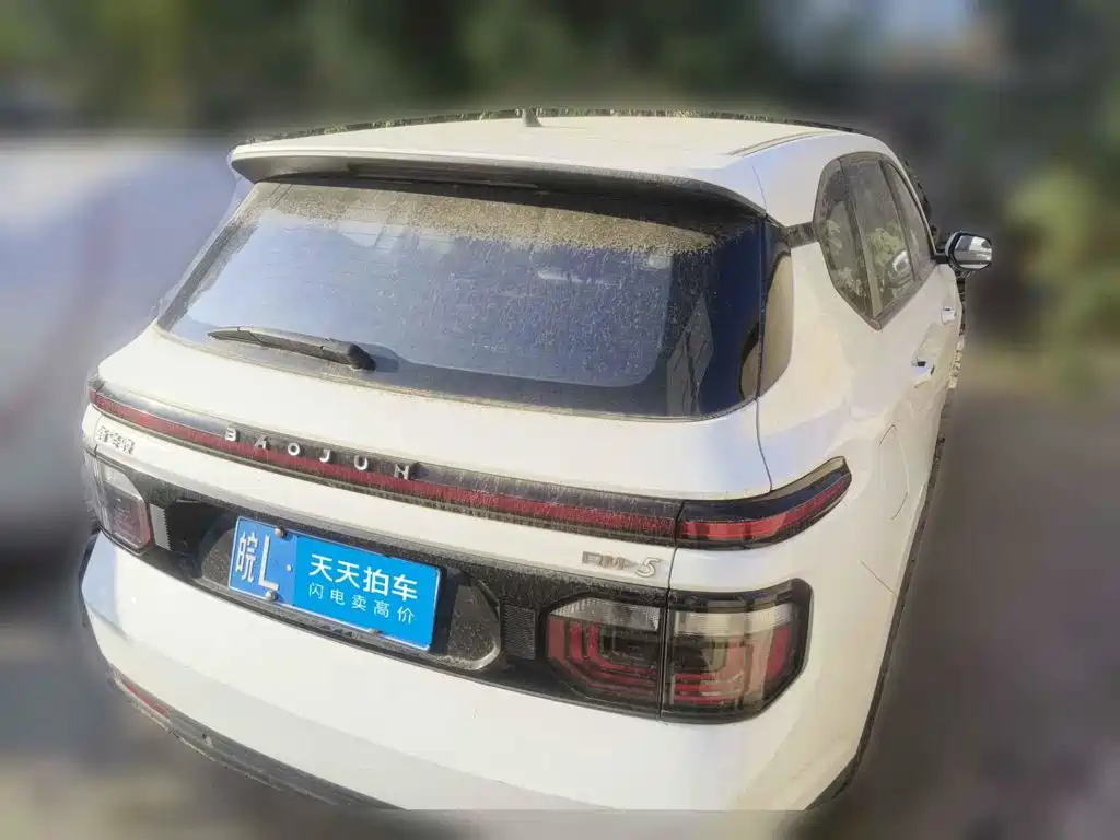 2022 Baojun RM-5