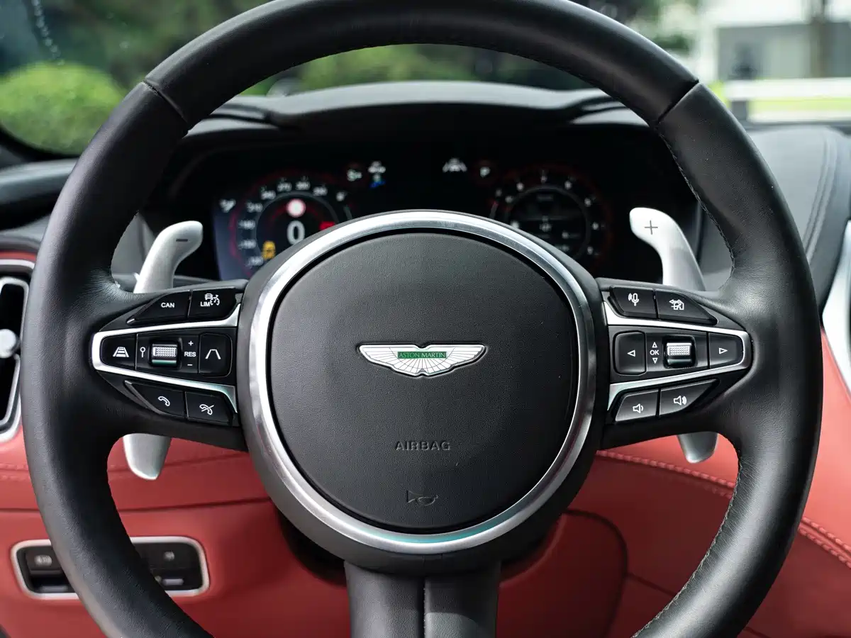 Aston Martin DBX 2023 2024 4.0T V8