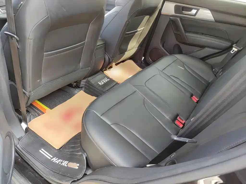 Haval H2 2018 2018 Creation Edition Red Label 1.5T DCT 2WD Style