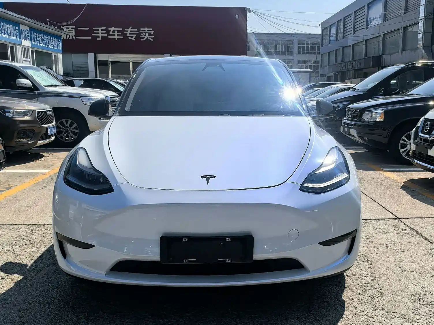 Фото 3 - Tesla Model Y
