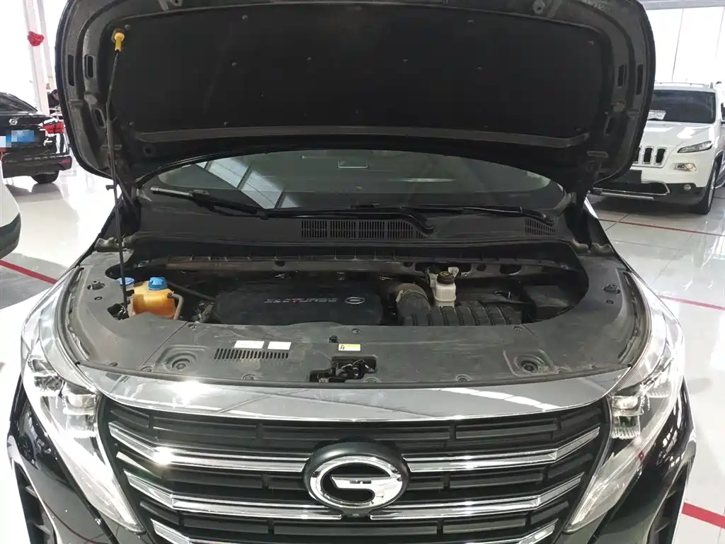 GAC Trumpchi Trumpchi M8 2021 Leading Show Series 390T Ultimate Edition фото 10