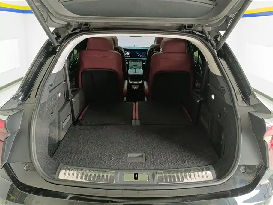 Hongqi E-HS9 2021 460km Flagship Comfort 6-seater фото 4