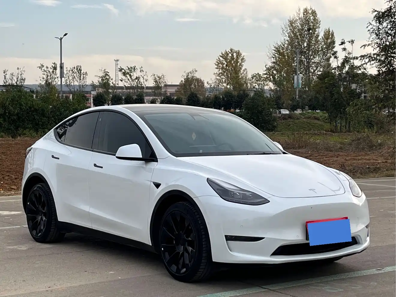 TESLA MODEL Y