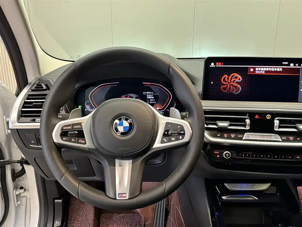 BMW X3 2022 xDrive30i Leading M Night Package фото 13