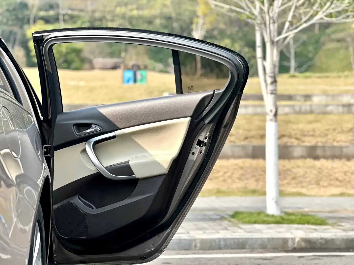 Buick Regal 2010 2.0L Expo Edition фото 32