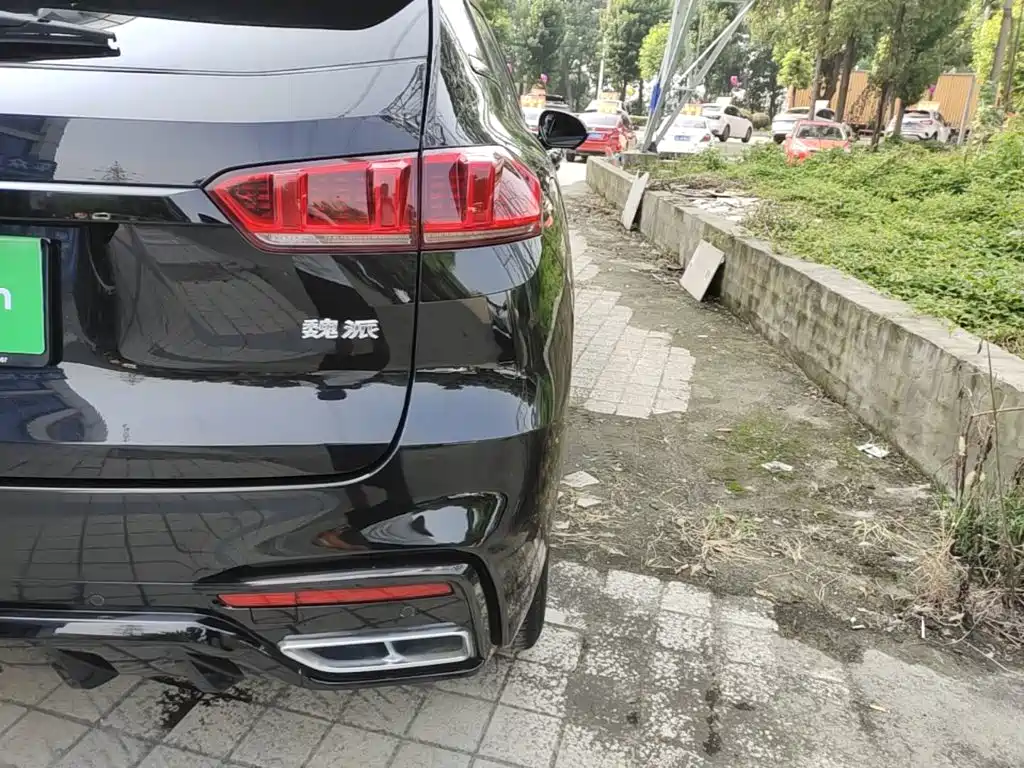 WEY VV7 2020 2020 2.0T Super Luxury