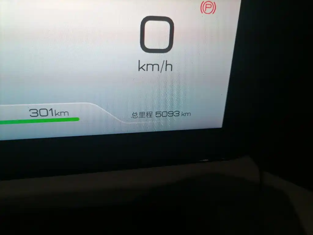 BYD Yuan UP 2026 2025 Model 301KM Navigator