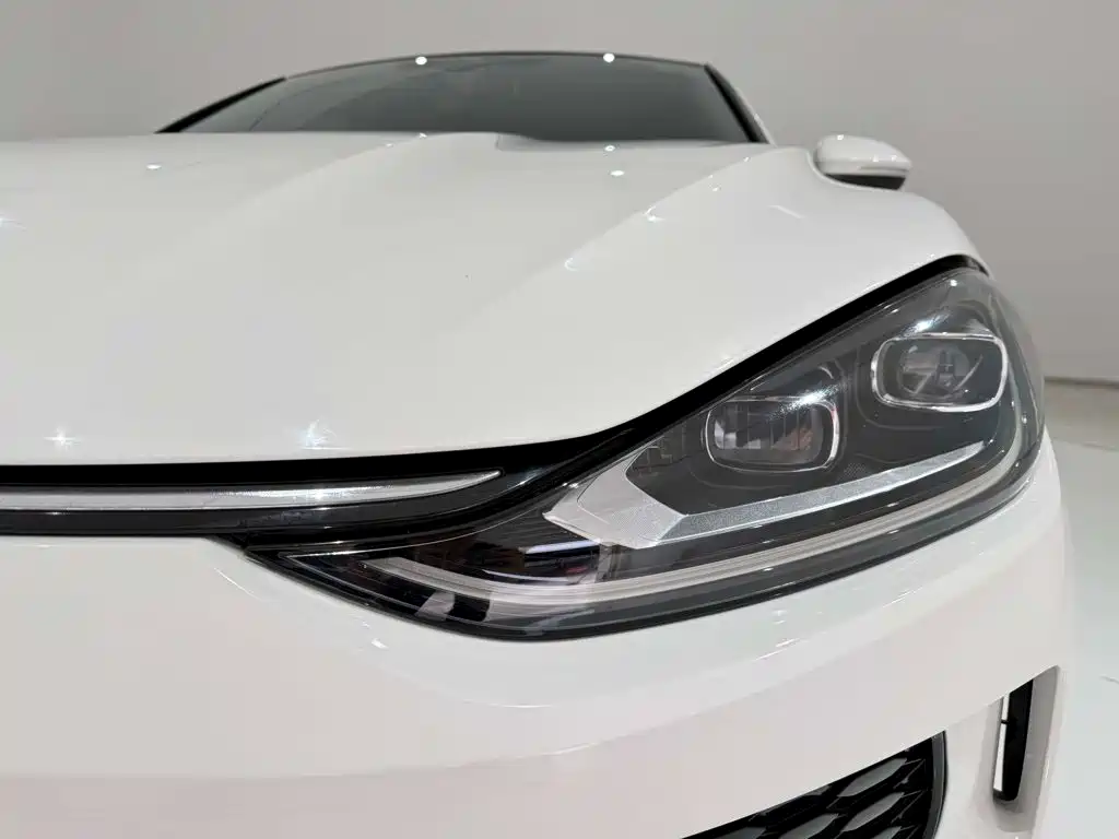 Volkswagen Lamando, миниатюра 9