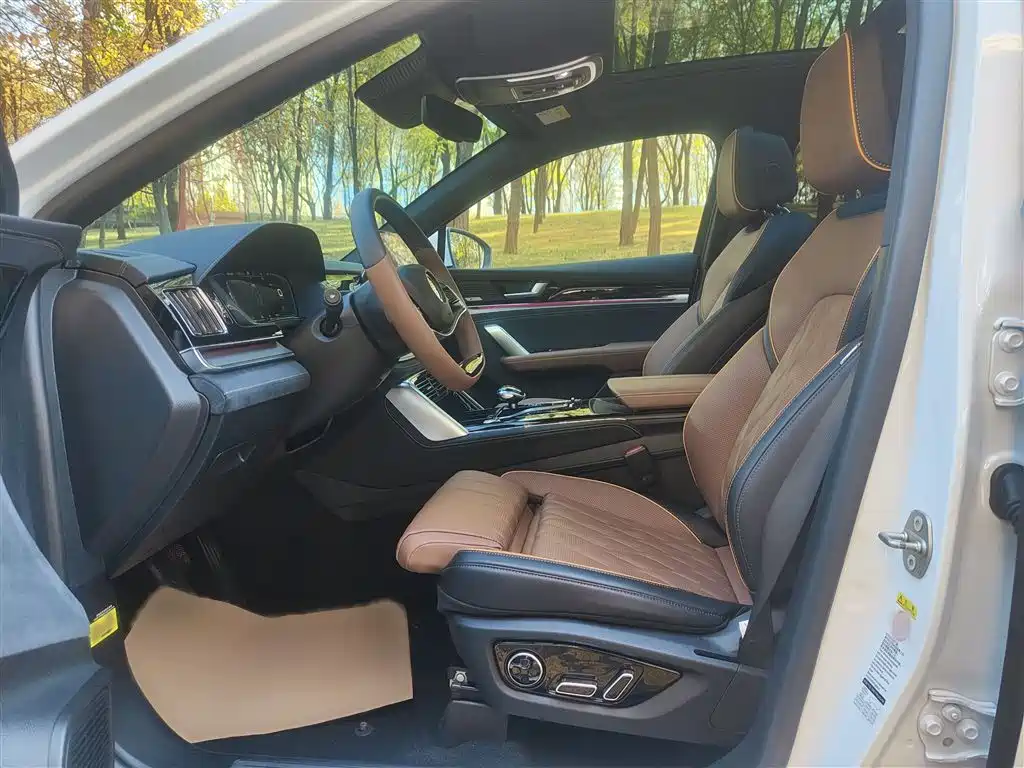 BYD Tang New Energy 2021 DM-i 112KM Honor фото 8