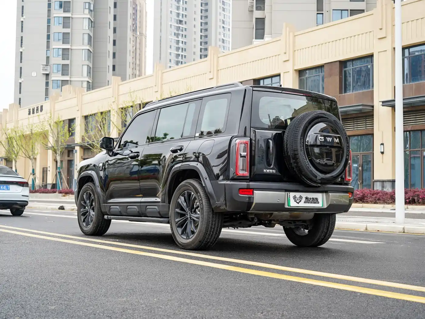 HAVAL RAPTORS NEW ENERGY