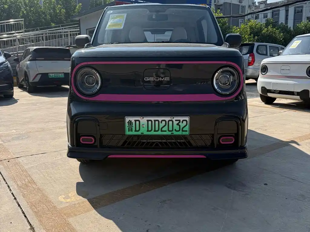 Geely Galaxy Panda 2026 2025 Model Year 210km Panda Kart