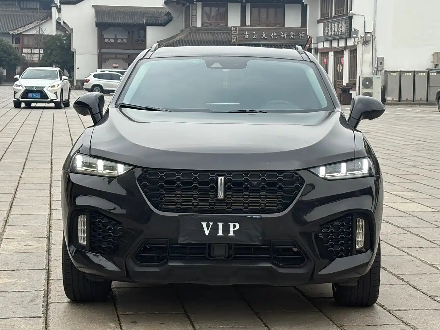 WEI PAI WEI BRAND VV7