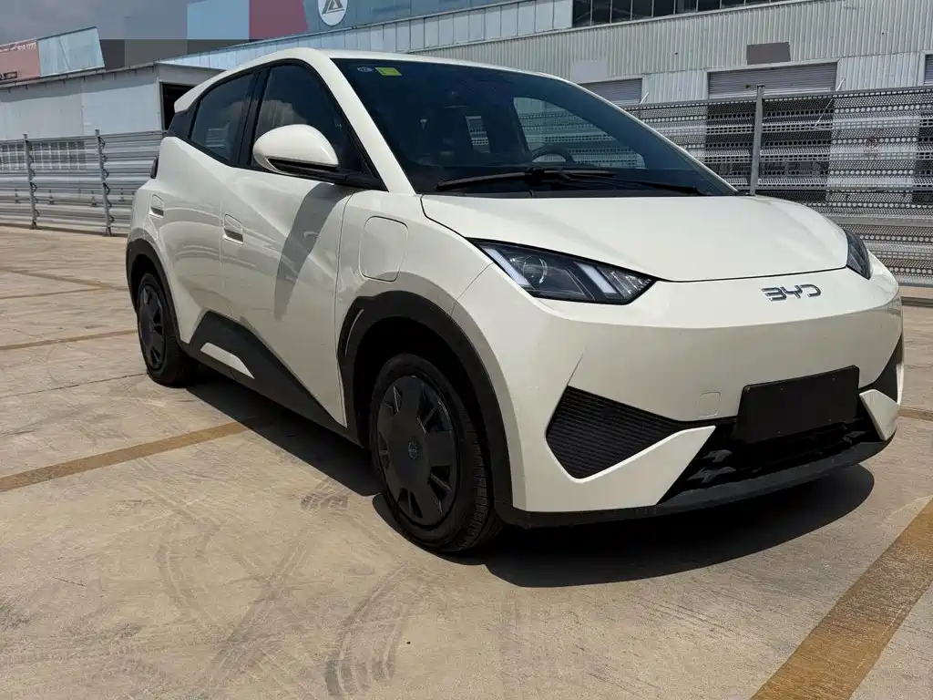 BYD Seagull 2026 2025 Smart Drive Edition 305km Vitality Version