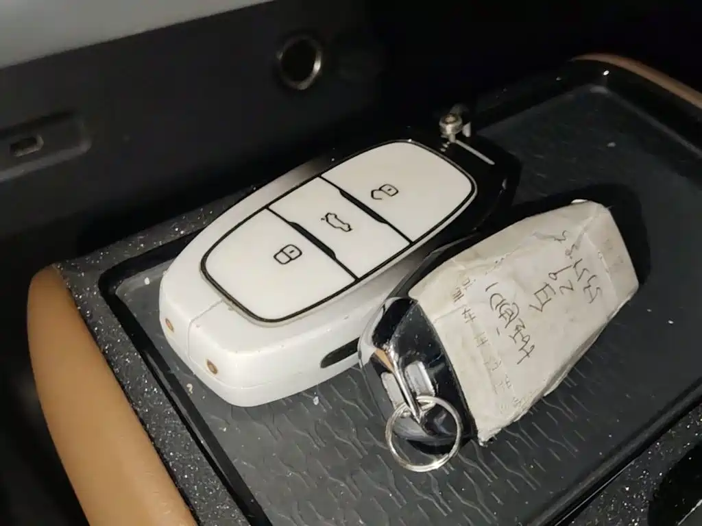 Hongqi E-QM5 2025 2024 Model 610km PLUS
