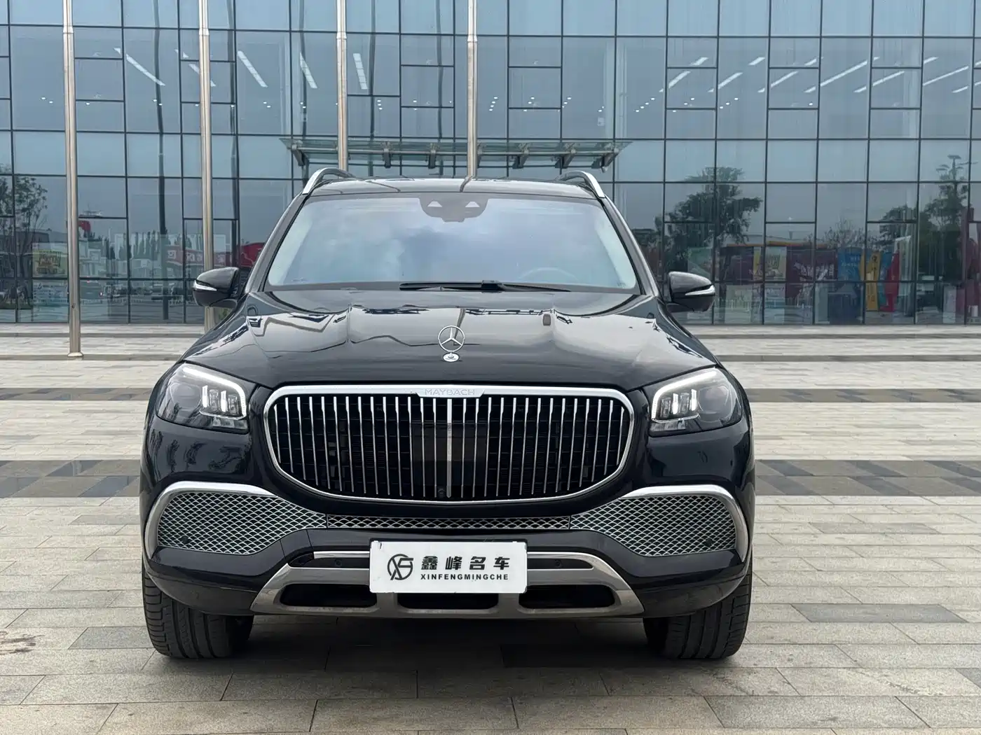 Mercedes-Benz Maybach GLS 2022 GLS 480 4MATIC фото 2