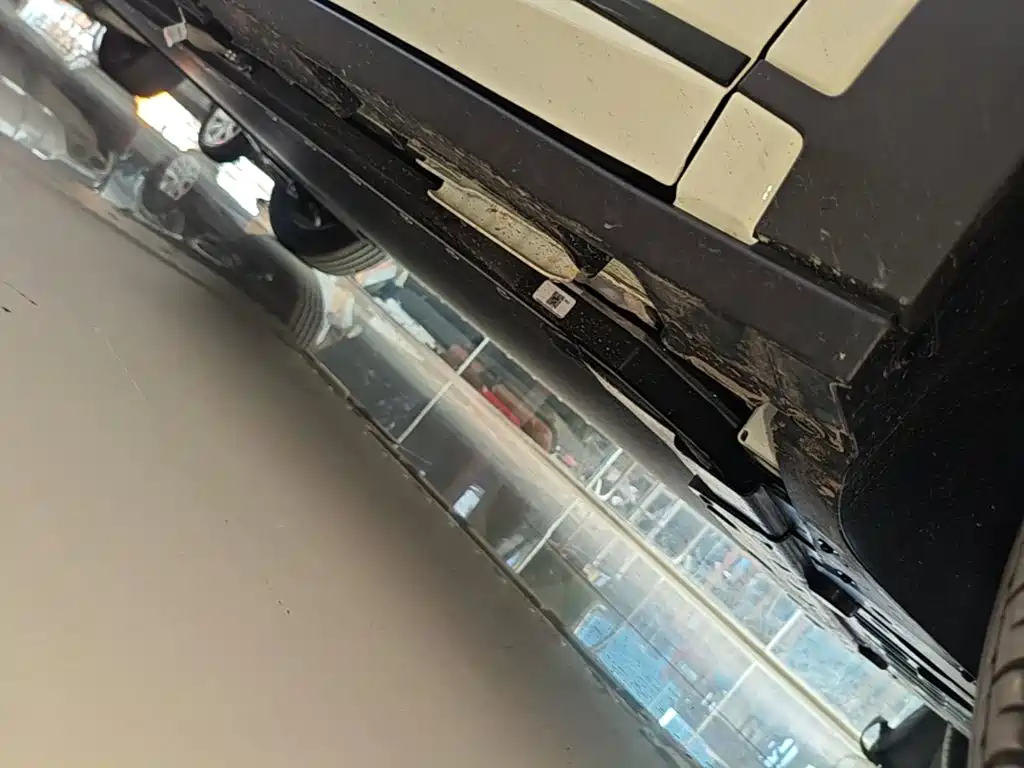 BYD Dolphin 2026 2025 420km Freedom Edition