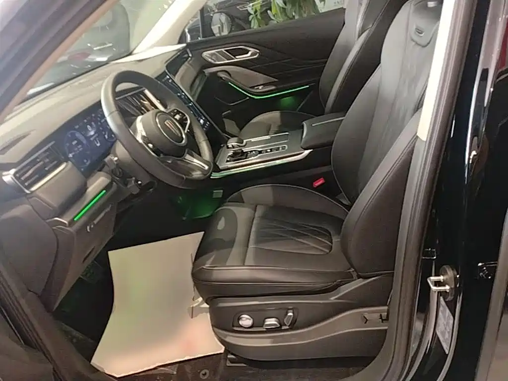 Hongqi HS7 PHEV 2024 2.0T PHEV 4WD Flagship Edition 6-seater фото 15