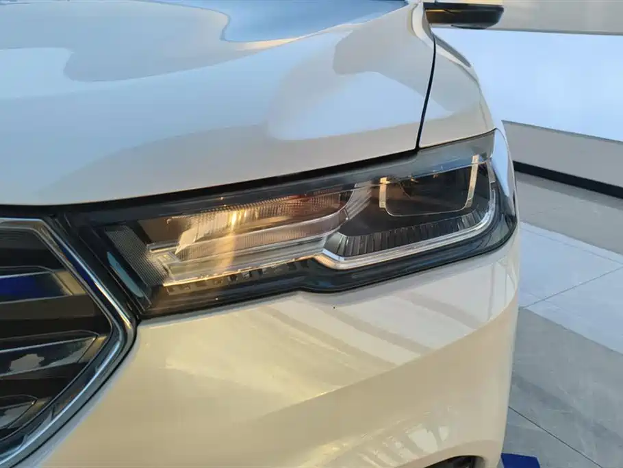 Haval H6 2017 Blue Label 2.0T Auto 2WD Leader фото 5