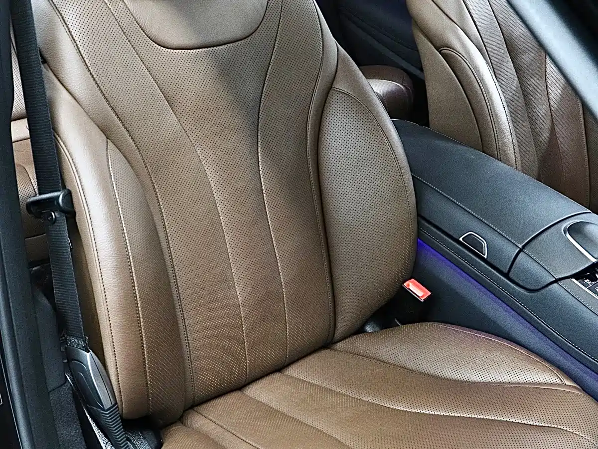 Mercedes-Benz S-Class 2020 S 350 L Business Edition Collector's Version фото 15