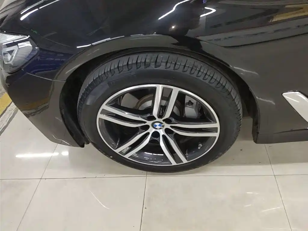 BMW 5 Series 2022 530Li Leading Luxury Package фото 23