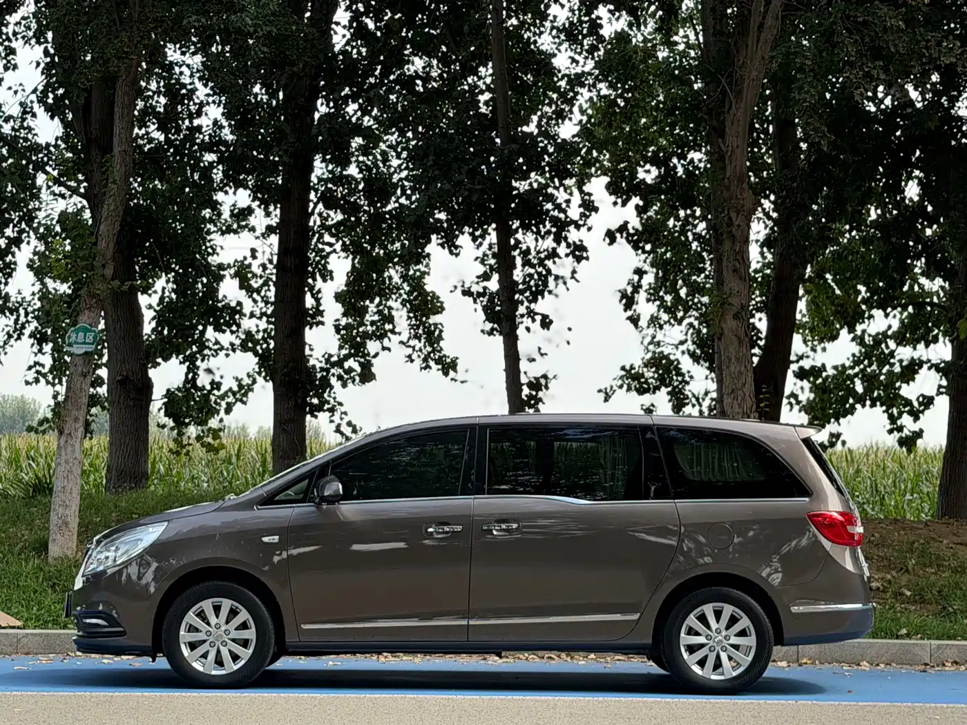 Фото 3 - Buick GL8