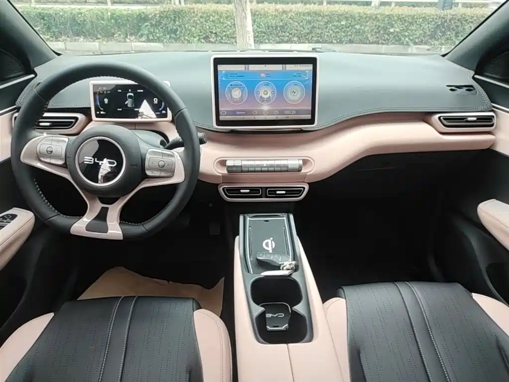 BYD Seagull 2024 Glory Edition 305km Freedom Edition фото 13
