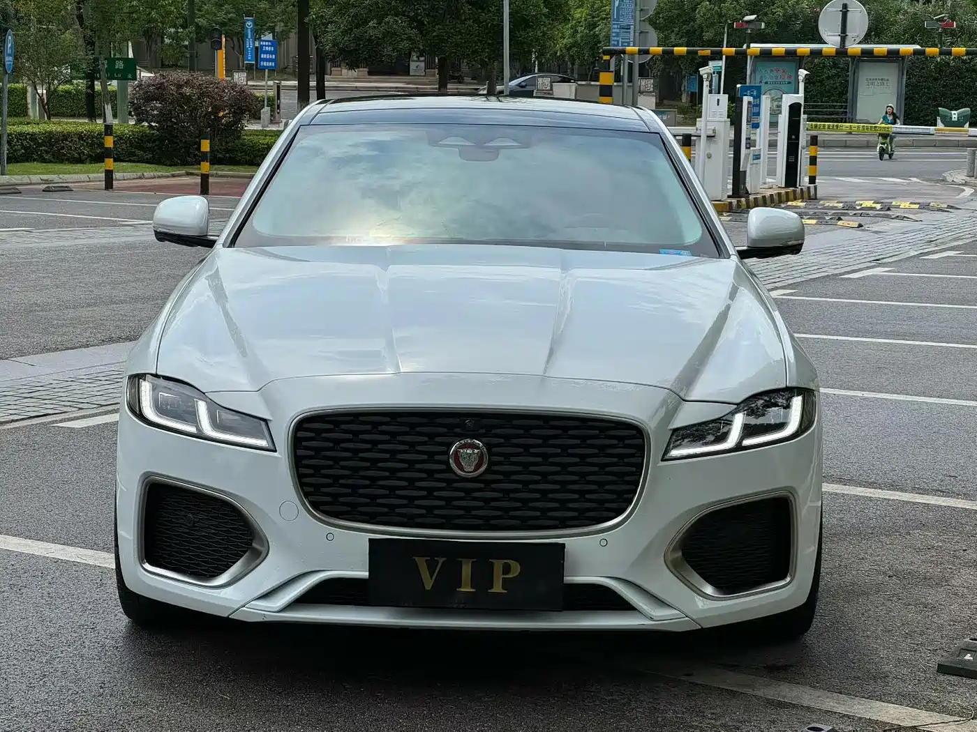 Jaguar XFL 2024 2.0T P250 2WD Premium Luxury фото 2