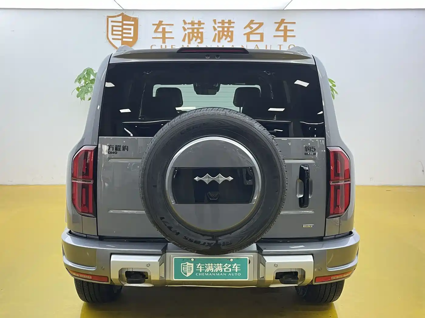 FANG CHENG BAO LEOPARD 5