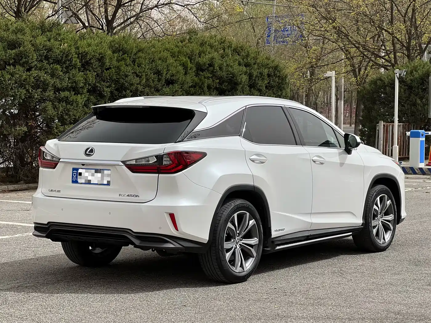 LEXUS RX