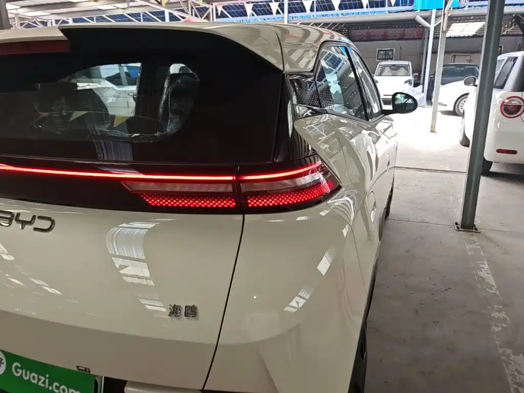 BYD Seagull 2026 2025 Smart Drive Edition 305km Vitality Version