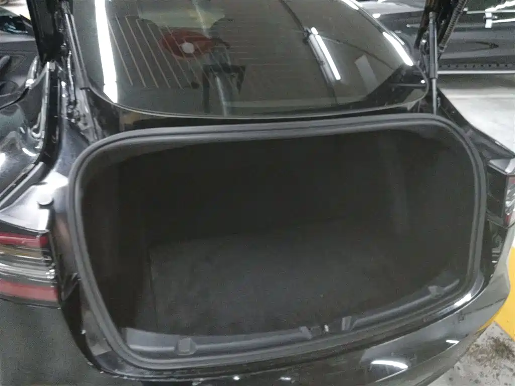 TESLA MODEL 3 (IMPORTED)
