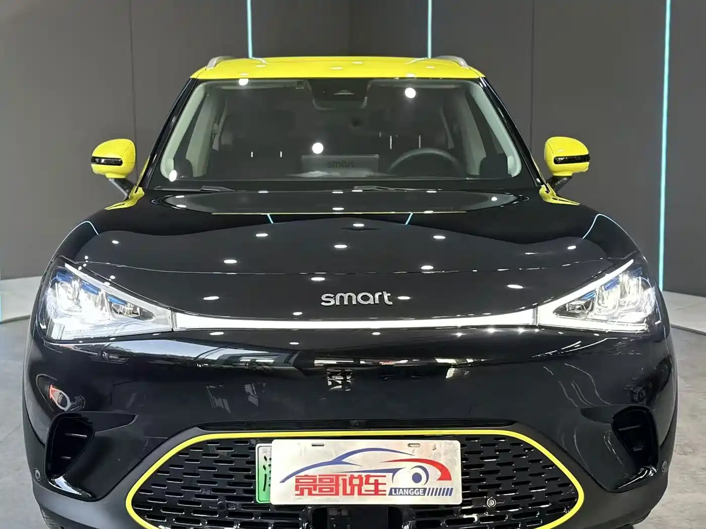 2025 smart Elf #1