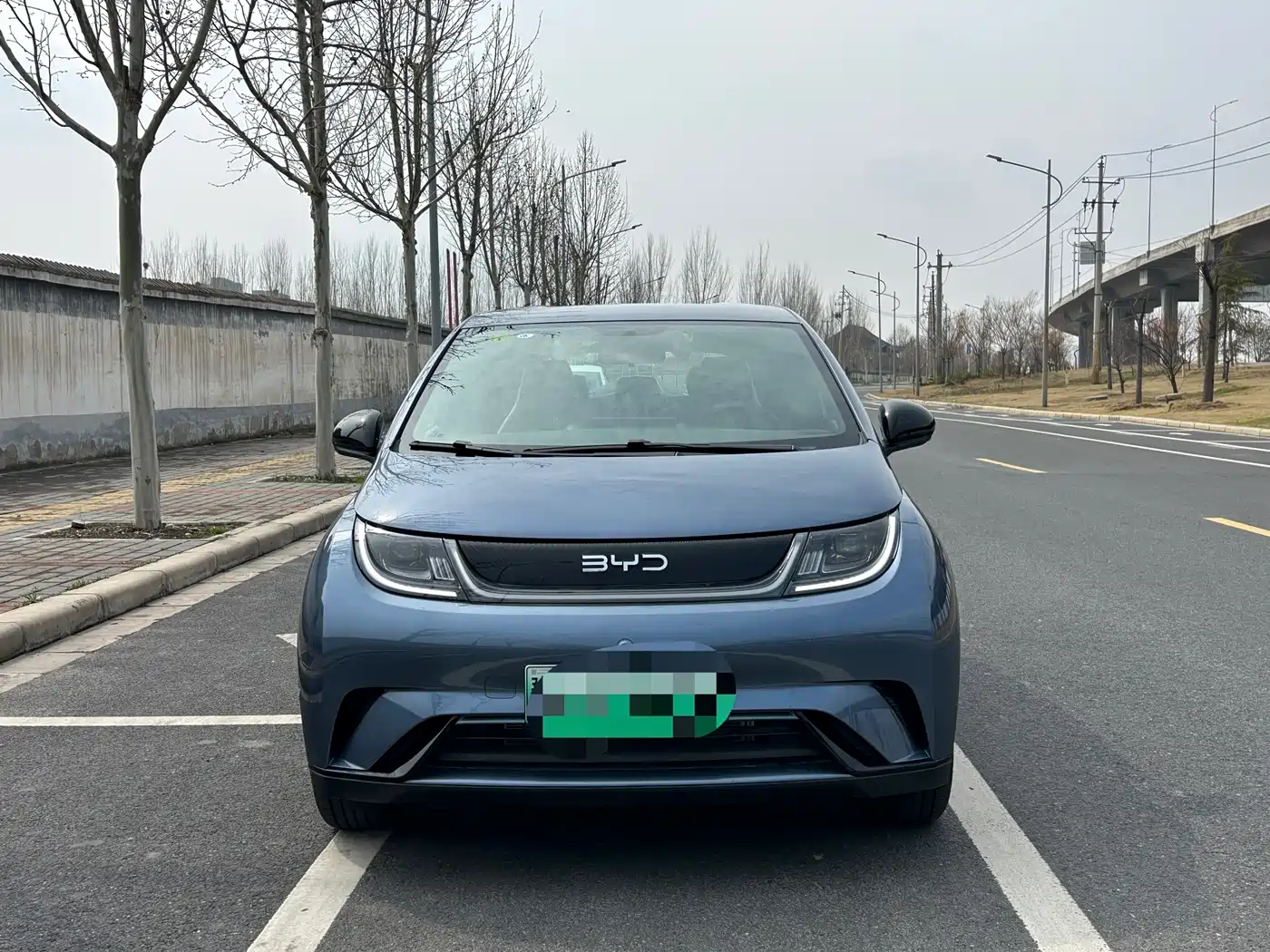 BYD DOLPHIN