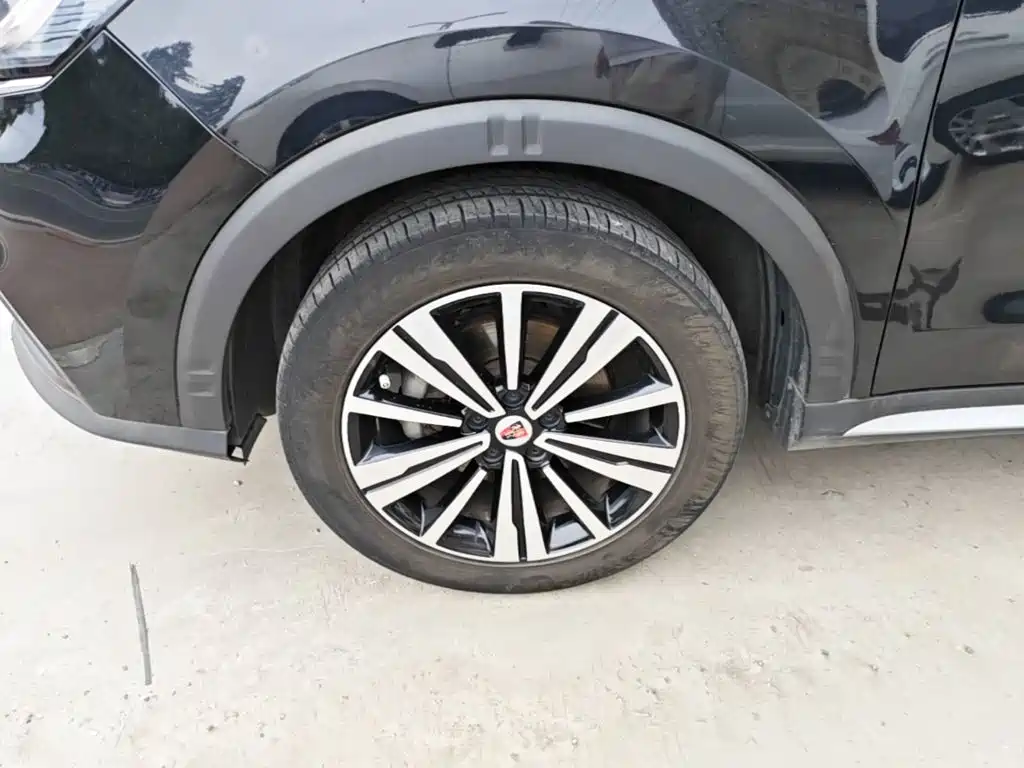 Фото 23 - Roewe RX5