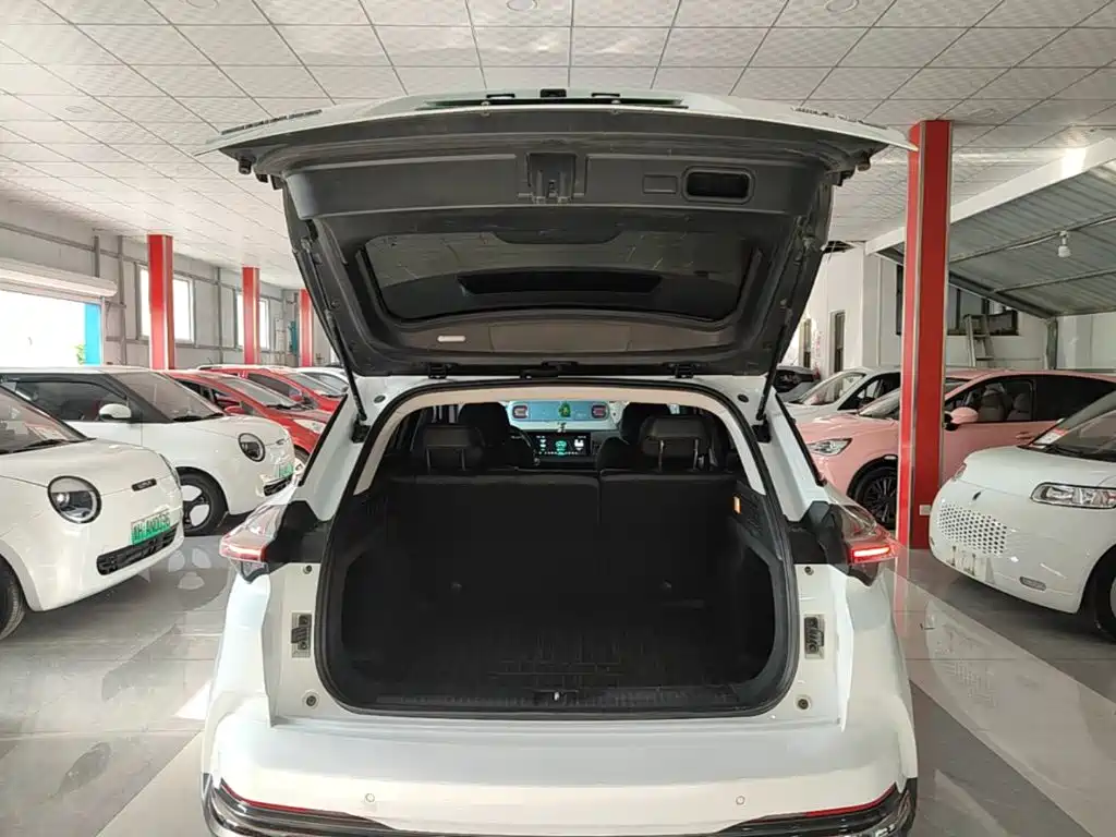Nezha Auto Neta U 2024 2023 Neta U-II Challenge Edition 500 U-Show (LFP)