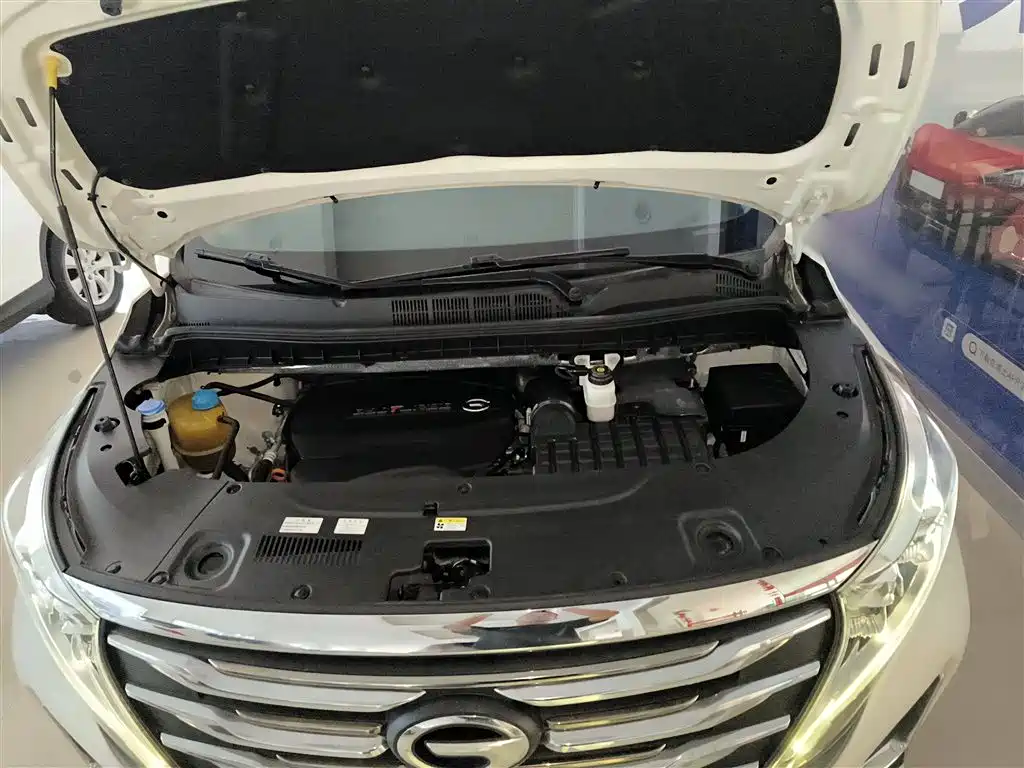 GAC Trumpchi Trumpchi M8 2020 Pilot 390T Premium Edition фото 20