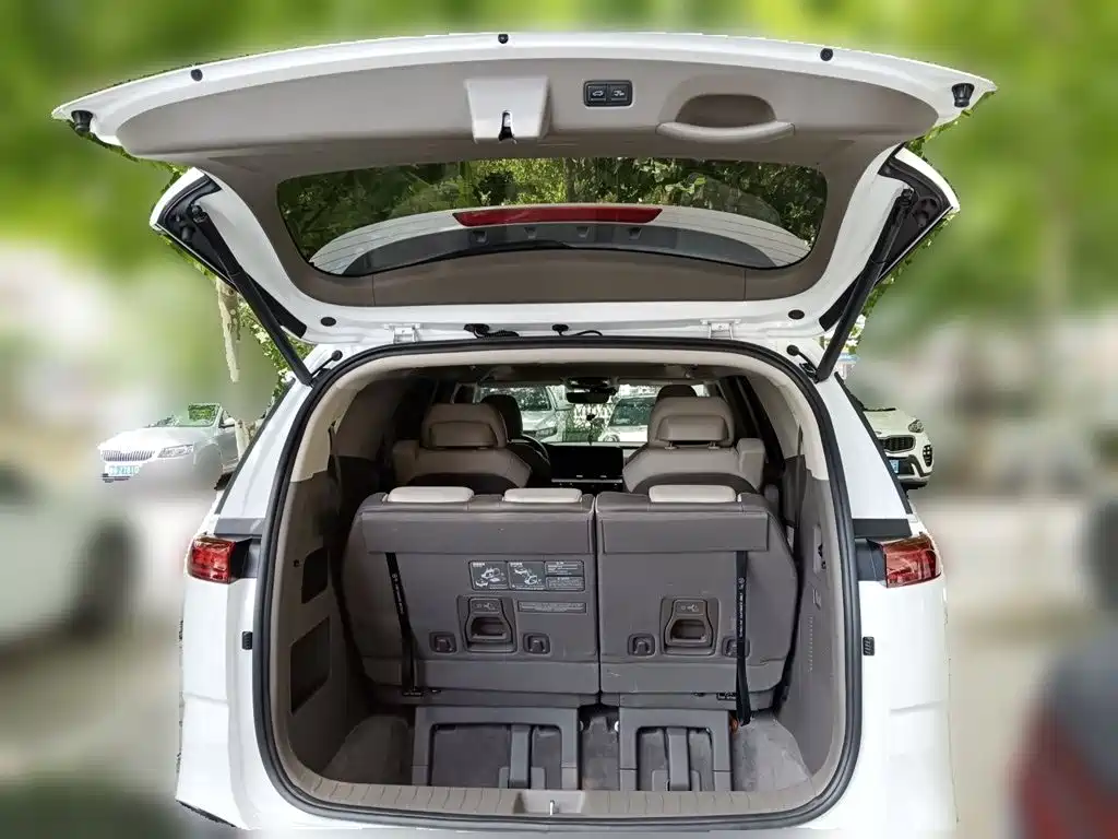 Kia Carnival 2021 2021 2.0T Luxury Premium Edition