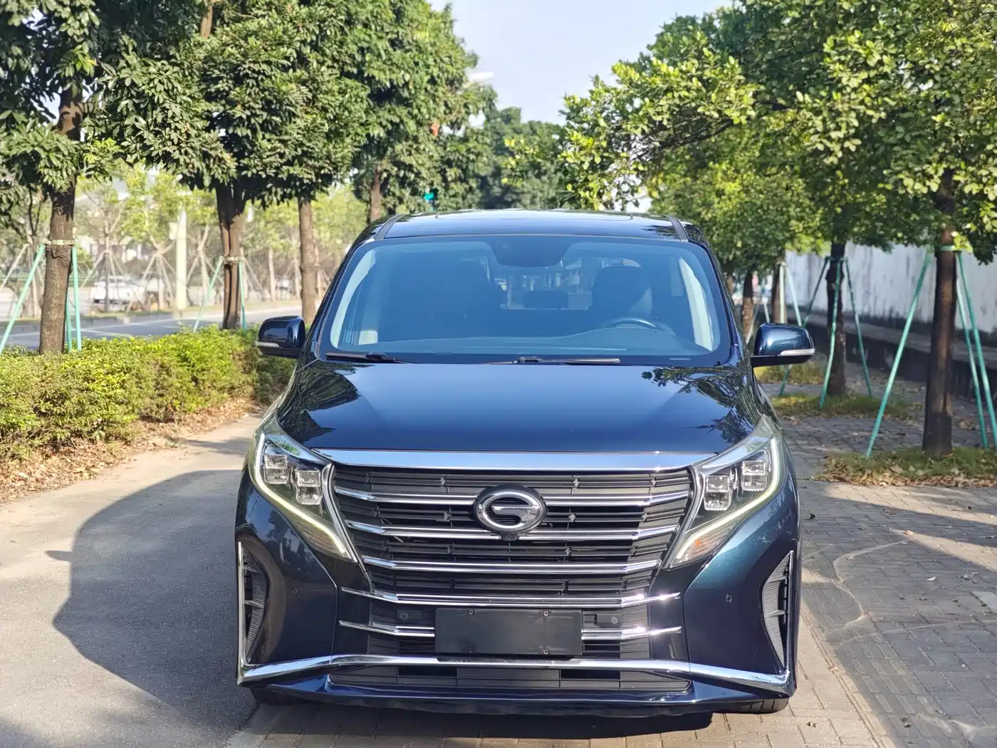 GAC Trumpchi Trumpchi M8 2021 Leading Show Series 390T Prestige Edition фото 2