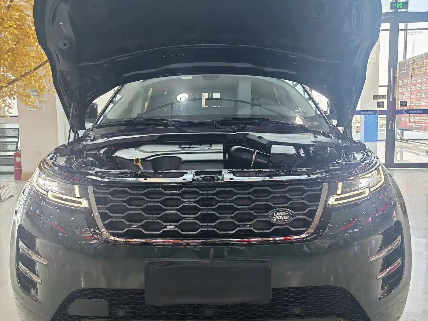 Land Rover Range Rover Evoque 2021 Range Rover Evoque L 249PS R-Dynamic First Edition Launch Edition фото 20