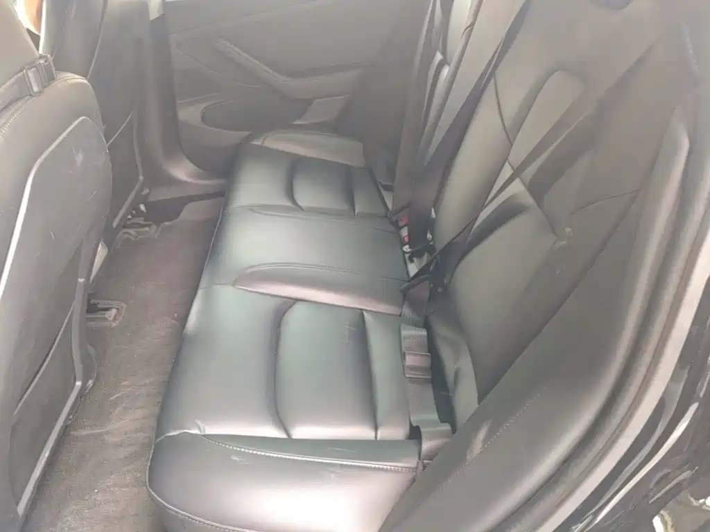 Tesla Model 3 2020 2020 Standard Range Rear-Wheel Drive Upgrade