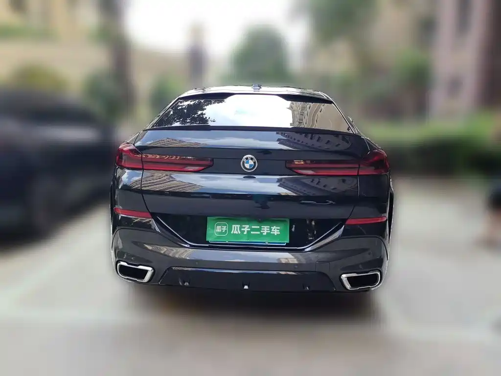 2024 BMW X6