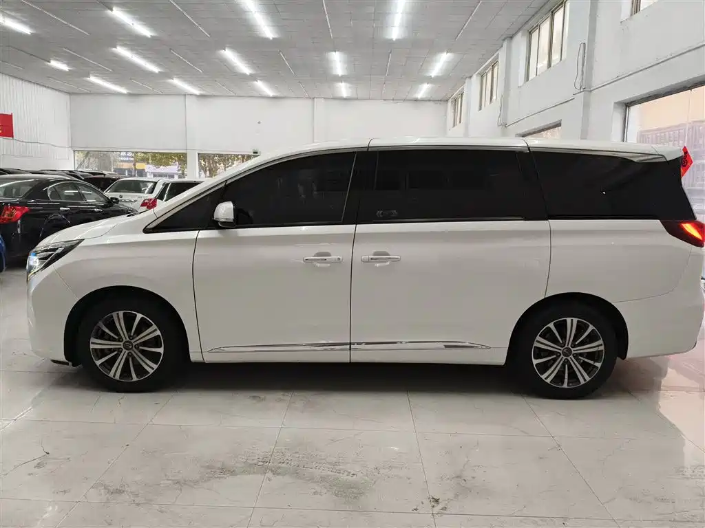 GAC Trumpchi Trumpchi M8 2018 320T Premium Edition фото 5