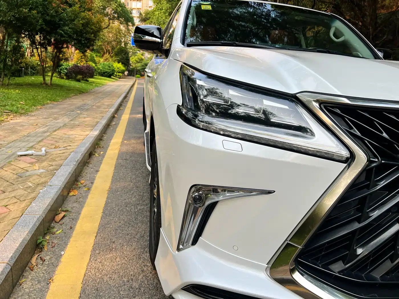 Lexus LX 2019 570 Peak Special Edition фото 16