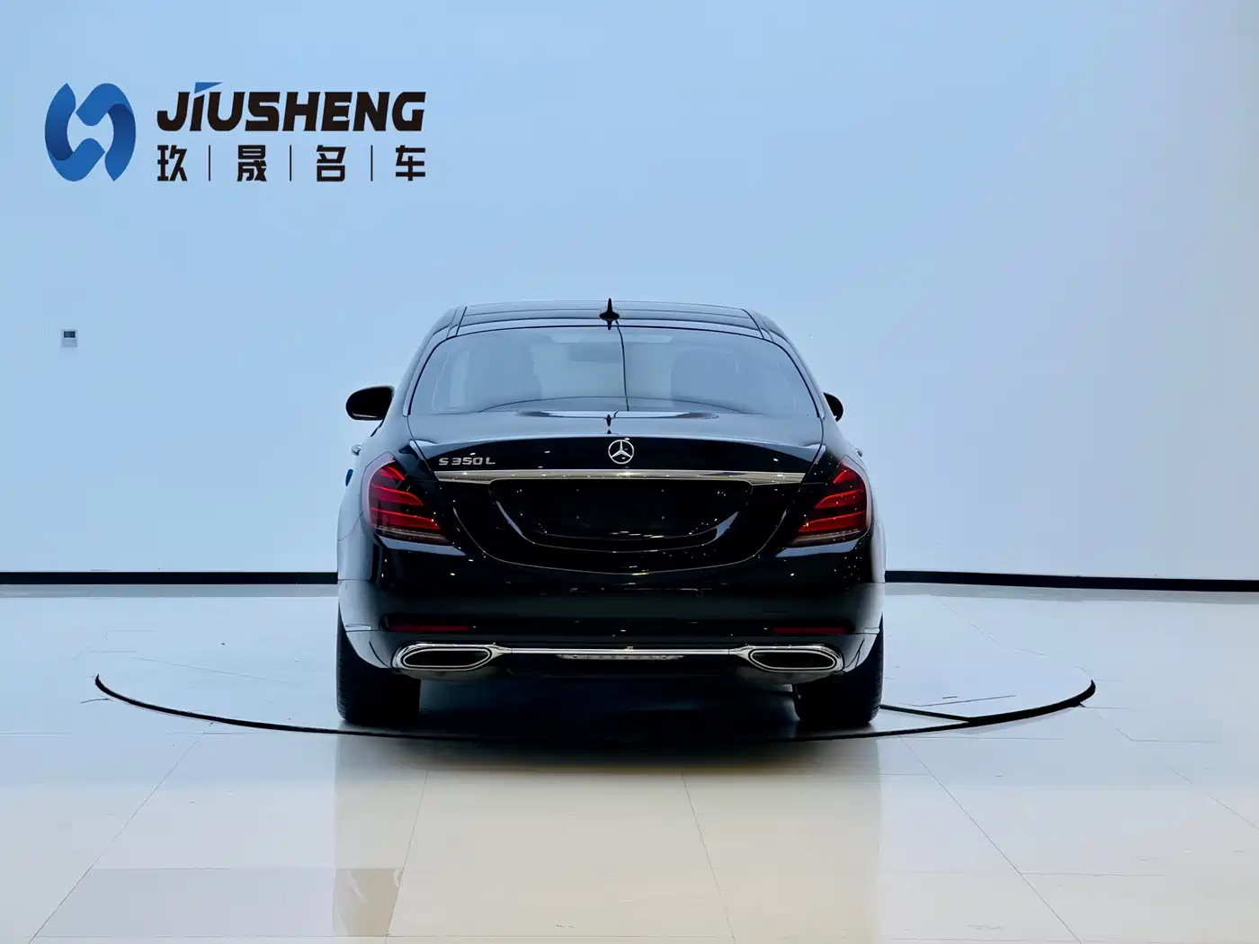 Mercedes-Benz S-Class 2020 S 350 L Premium Edition Collector's Version фото 5