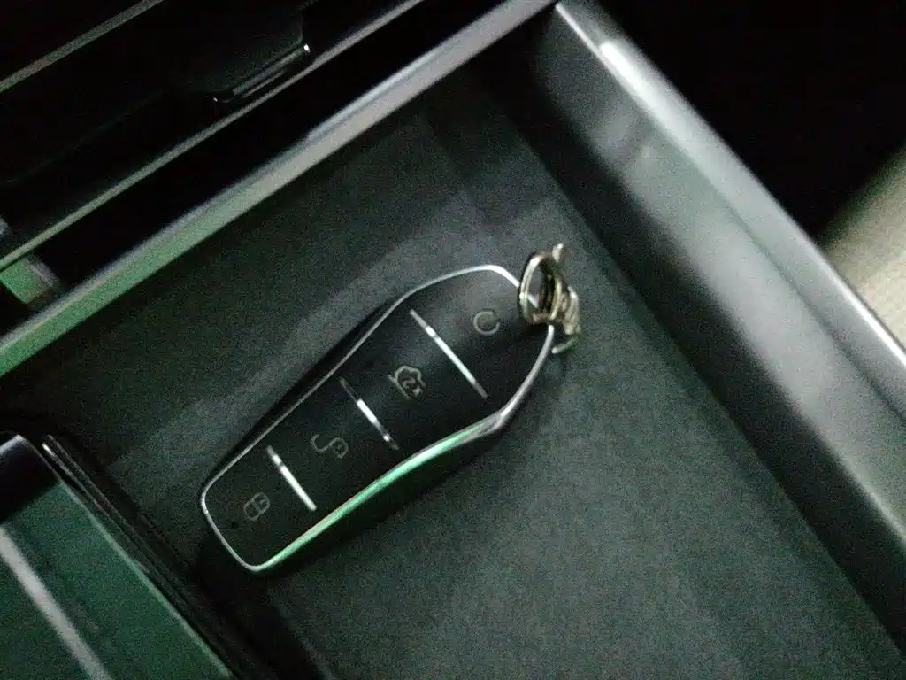 BYD Seal 2023 DM-i 1.5L 121km Premium фото 18