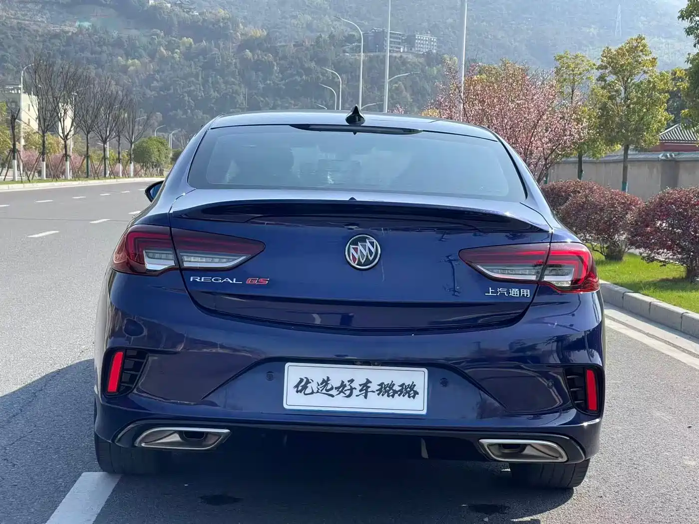 Buick Regal 2020 GS 28T Elite фото 13