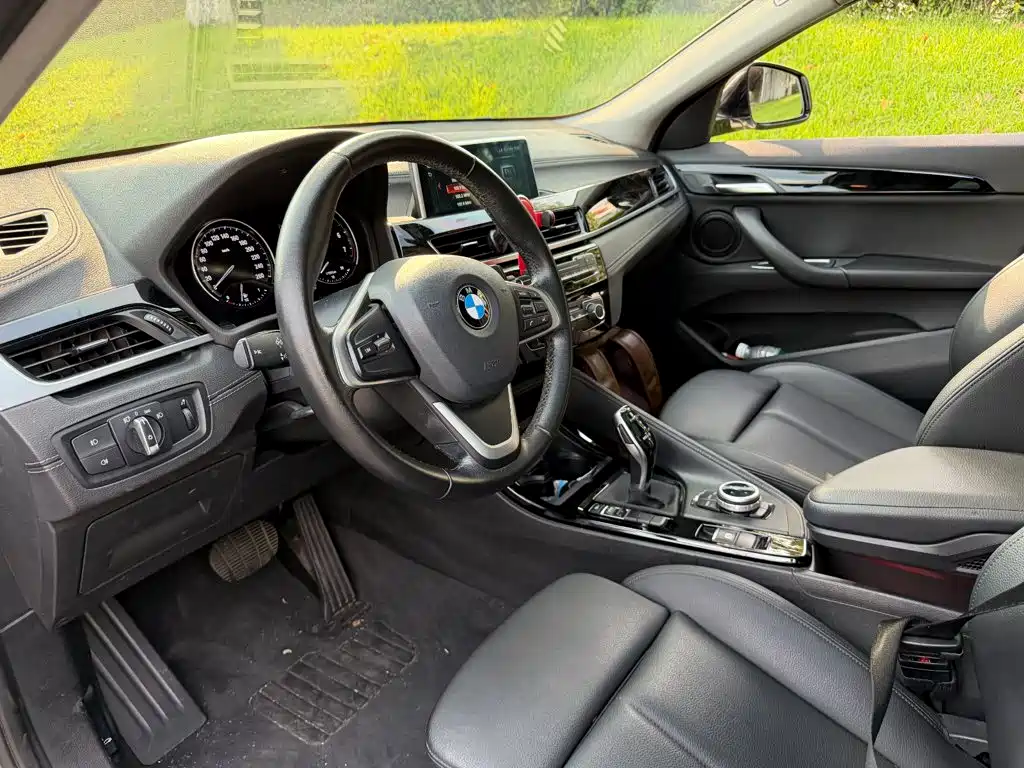 BMW X2 (Import) 2019 2019 sDrive20i M Off-Road Package China VI